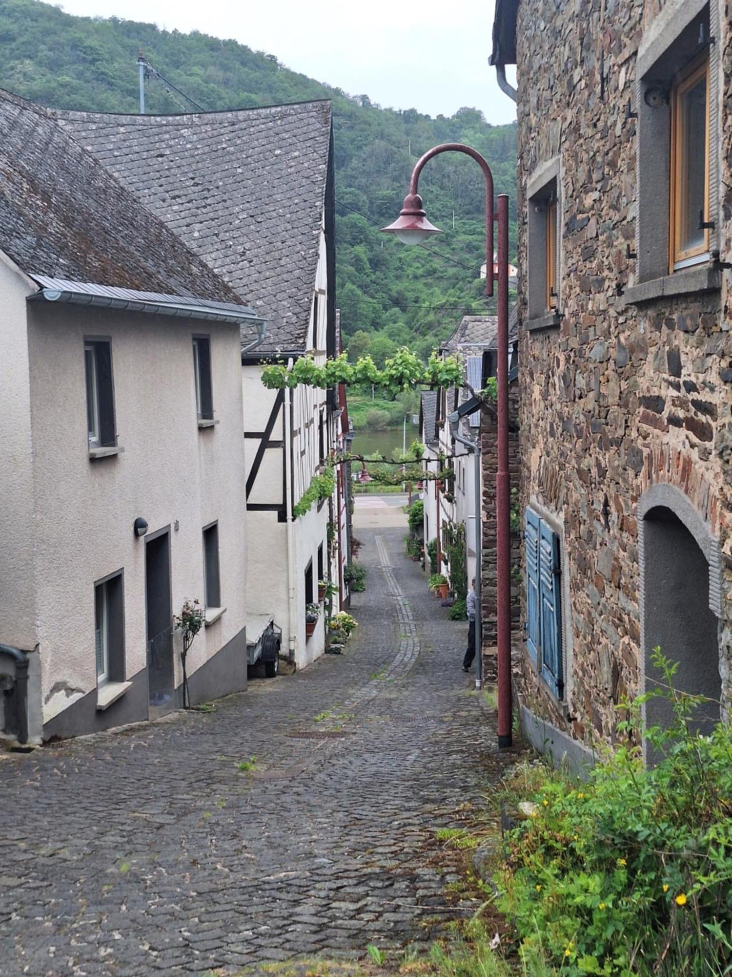 Appartamento Moselburgblick Burgen  Esterno foto